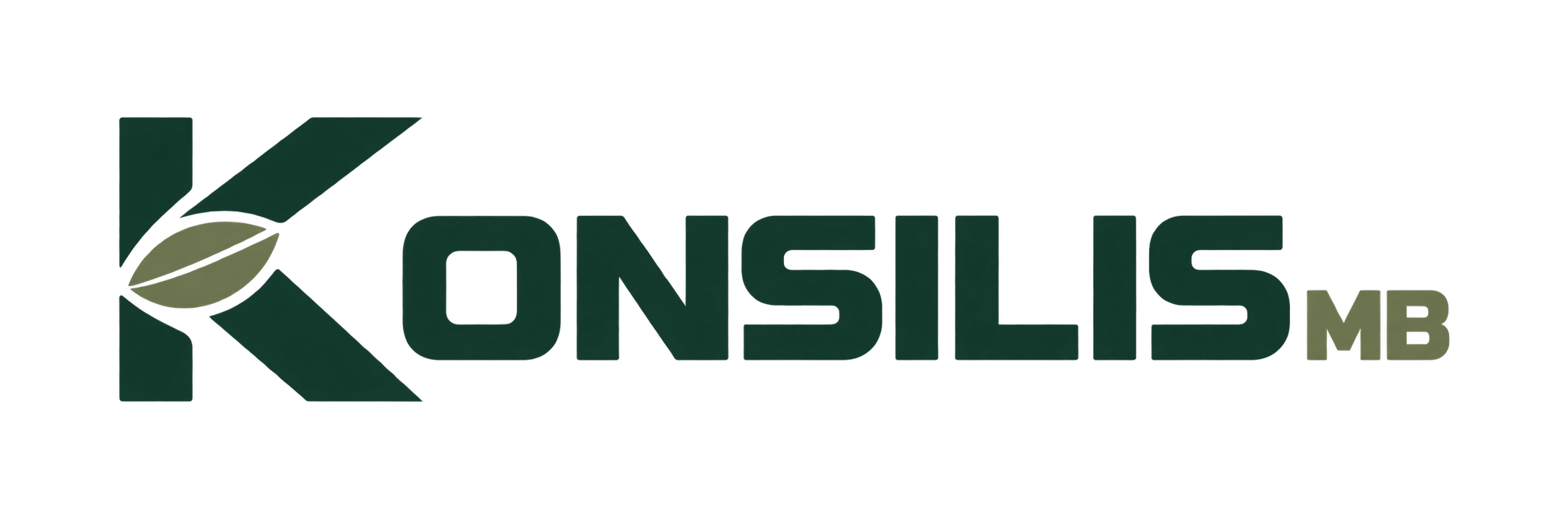 Konsilis MB